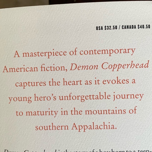 Demon Copperfield by Barbara Kingsolver HARDCOVER book, Like New (Oprah Club) - Picture 4 of 14